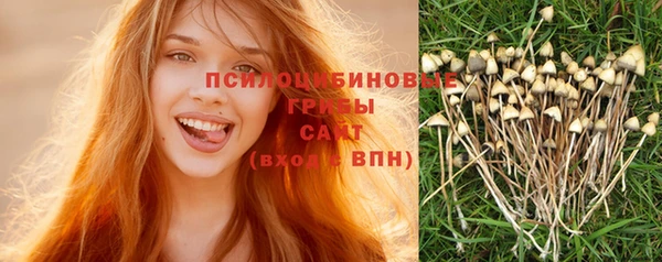 ГАЛЛЮЦИНОГЕННЫЕ ГРИБЫ Бронницы