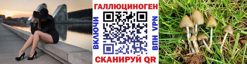Псилоцибиновые грибы Psilocybe  блэк спрут   Батайск  хочу  
